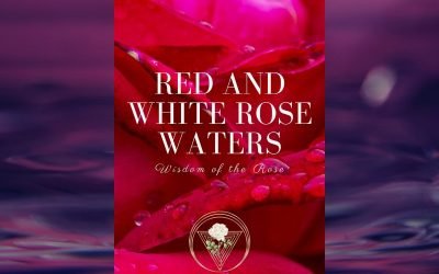 Red and White Rose Waters