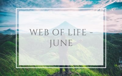 Web of Life – June