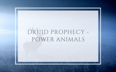 Druid Prophecy – Power Animals