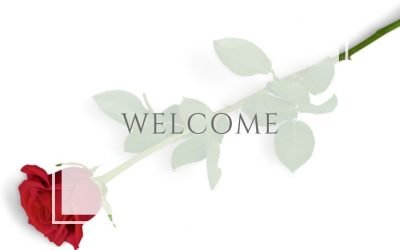 Welcome to the School of Rose Mystics