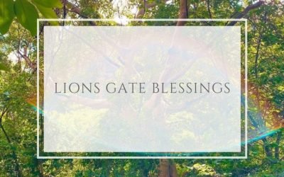 Lions Gate Blessings