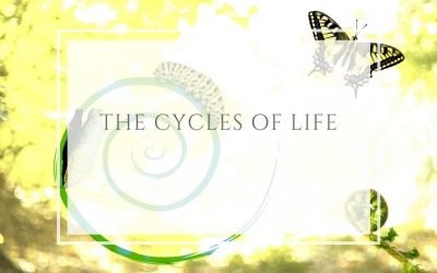 The cycles of Life