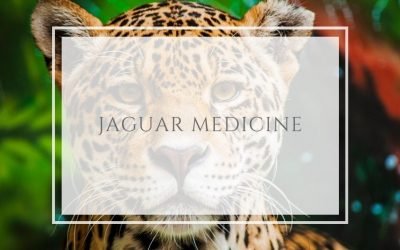 Jaguar Medicine